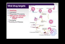 antiviral drugs to treat and prevent sars cov 2 infection