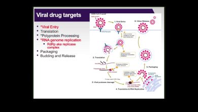 antiviral drugs to treat and prevent sars cov 2 infection