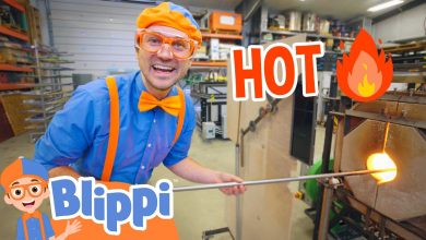 glass workshop – educational videos for kids