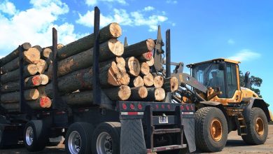 hardwood lumber manufacturing